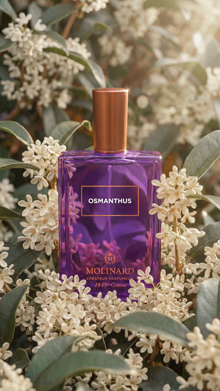 Molinard — Osmanthus sensory world