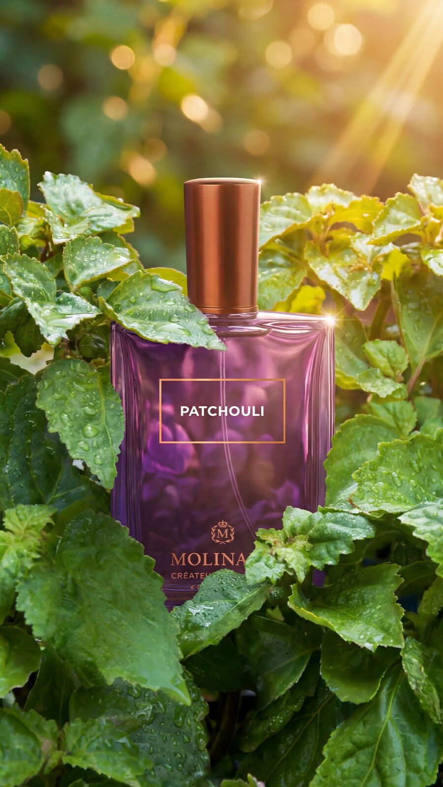 Molinard — Patchouli sensory world